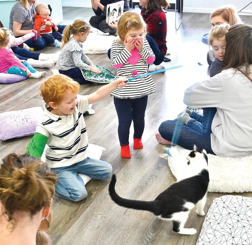 Children playing with a cat during a storytelling event at Constellation Cat Café.